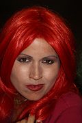 IMG_0782 