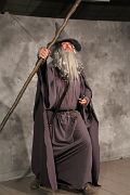 IMG_2043 