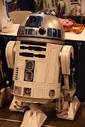 IMG_4567 
