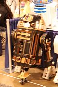 IMG_4568 