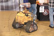 IMG_4600 