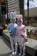 IMG_4690 