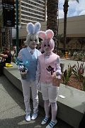 IMG_4695 