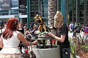 IMG_4768 