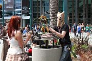 IMG_4773 