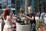 IMG_4774 
