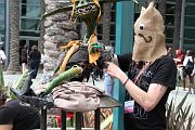 IMG_4780 