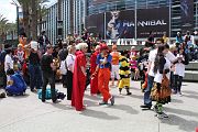 IMG_4791 