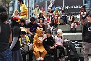 IMG_4795 
