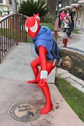 IMG_0037 