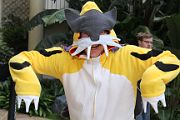 IMG_0051 