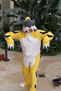 IMG_0054 