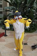 IMG_0055 