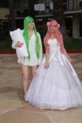 IMG_0117 