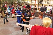 IMG_0961 