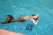 IMG_1094 