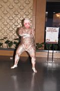 IMG_1330 