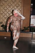 IMG_1336 