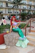 IMG_2141 