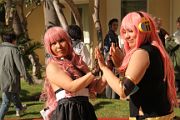 IMG_2453 