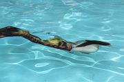 IMG_2811 
