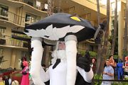 IMG_2913 