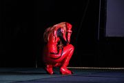 IMG_5387 