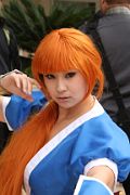 Anime LA 2014 (Sunday)