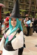 IMG_8301 