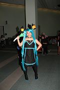 IMG_0037 
