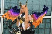 IMG_0061 
