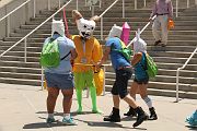 IMG_0100 