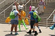 IMG_0101 