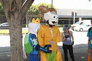 IMG_0137 