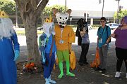 IMG_0140 