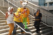 IMG_0168 