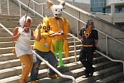 IMG_0169 