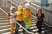IMG_0174 
