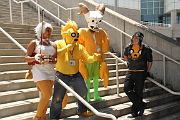 IMG_0175 
