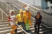 IMG_0179 