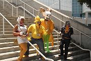 IMG_0181 