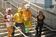 IMG_0182 