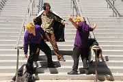 IMG_0531 