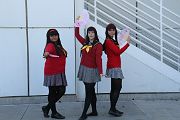 IMG_1007 