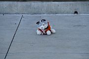 IMG_1124 