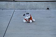IMG_1125 