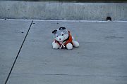 IMG_1130 