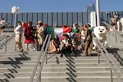 IMG_1455 