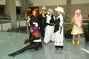 IMG_1795 
