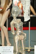 IMG_1822 